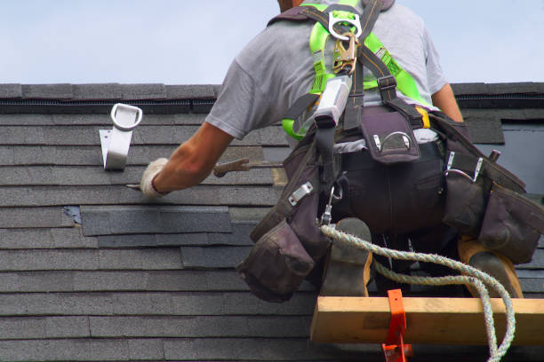 Best Roof Gutter Cleaning  in Val Verde, CA